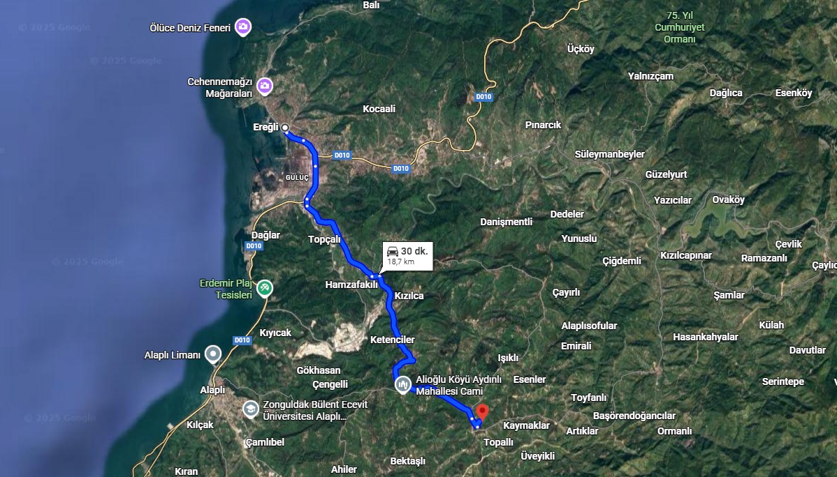 ZONGULDAK EREĞLİ ŞAMLAR KÖYÜNDE 1.636 M² FINDIK BAHÇESİ SATILIKTIR. - ZONGULDAK EREĞLİ fotoğraf 3